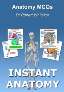 Anatomy MCQs - Instant Anatomy Anatomy MCQs - Instant Anatomy