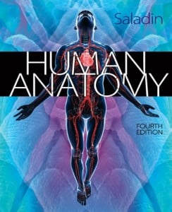 Human Anatomy 4th Edition (Saladin)