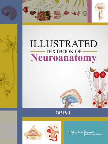 Illustrated Textbook of Neuroanatomy