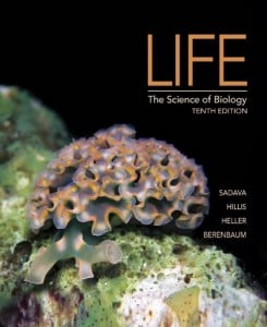 Life The Science of Biology, 10th Edition