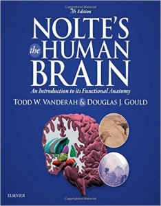 Nolte's The Human Brain: An Introduction to its Functional Anatomy, 7th Edition (ORIGINAL PDF from Publisher)