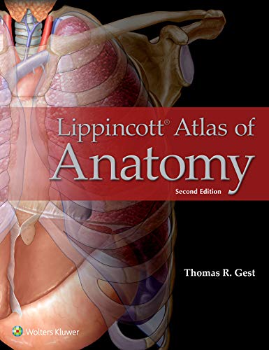 Lippincott Atlas Of Anatomy, 2Nd Edition (Epub)