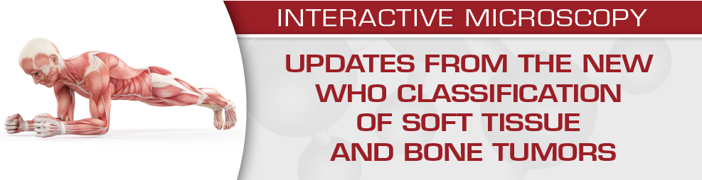 WHO classification of soft tissue tumours 2020: An update and