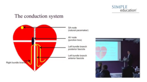 Simple Education : Essential Guide to electrocardiogram (ECG) interpretation (Videos)