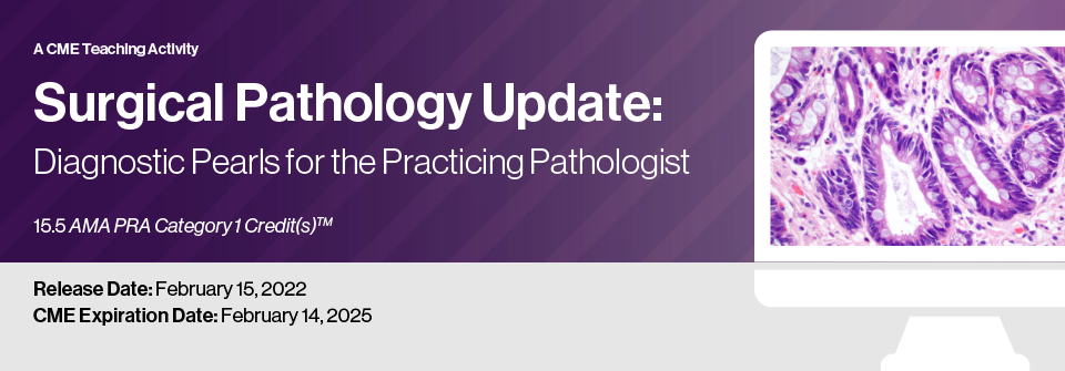 Surgical Pathology Update: Diagnostic Pearls For The Practicing Pathologist – Vol. Vi 2022 (Videos)