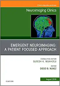 Emergent Neuroimaging: A Patient Focused Approach, An Issue of Neuroimaging Clinics of North America (Volume 28-3) (The Clinics: Radiology, Volume 28-3) (Original PDF from Publisher)