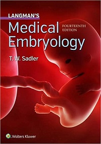 Langman’S Medical Embryology, 14Th Edition (Original Pdf From Publisher)