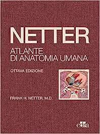Netter. Atlante di anatomia umana, 8th Edition (EPUB)