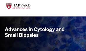 Harvard Advances in Cytology and Small Biopsies 2023 (CME VIDEOS)