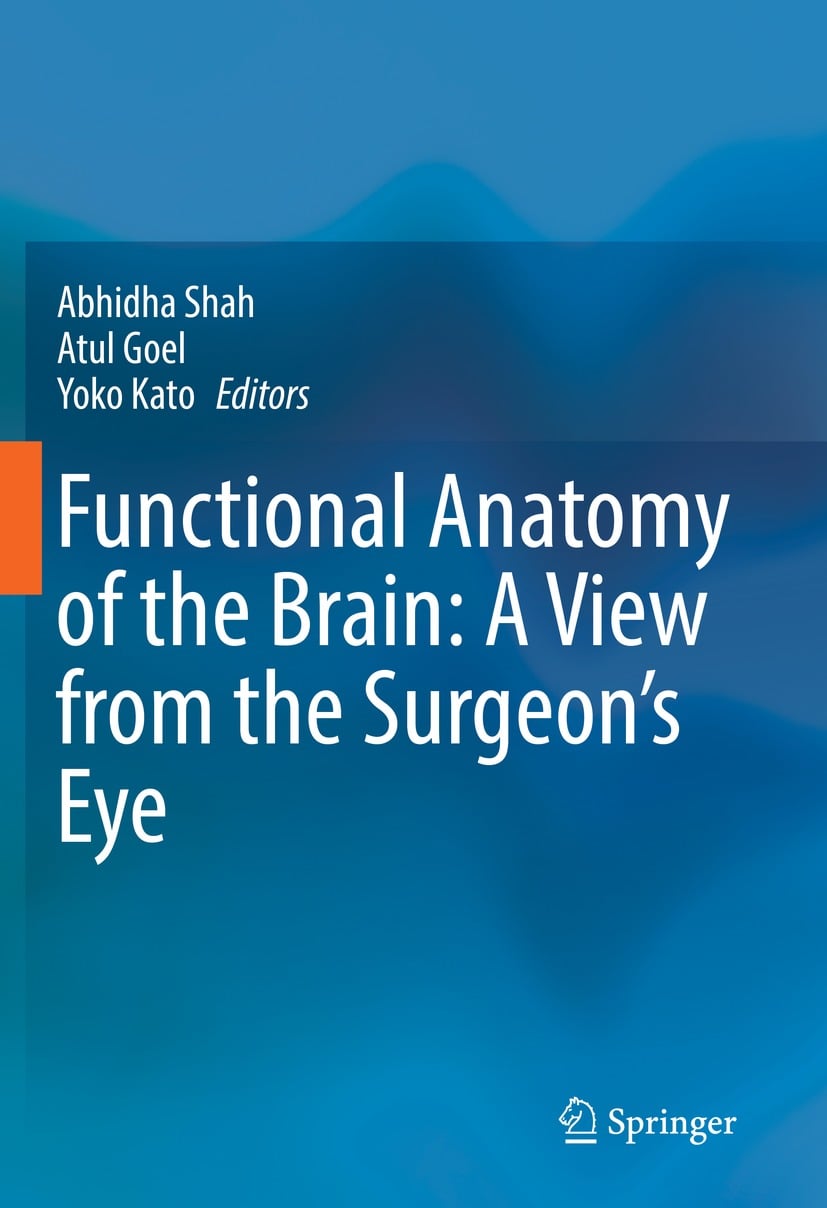 Functional Anatomy of the Brain: A View from the Surgeon’s Eye (EPUB)