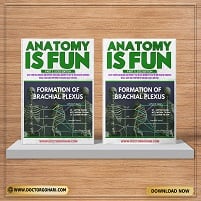 Anatomy is fun part 1 + part 2 (2023) (Original PDF from Publisher)