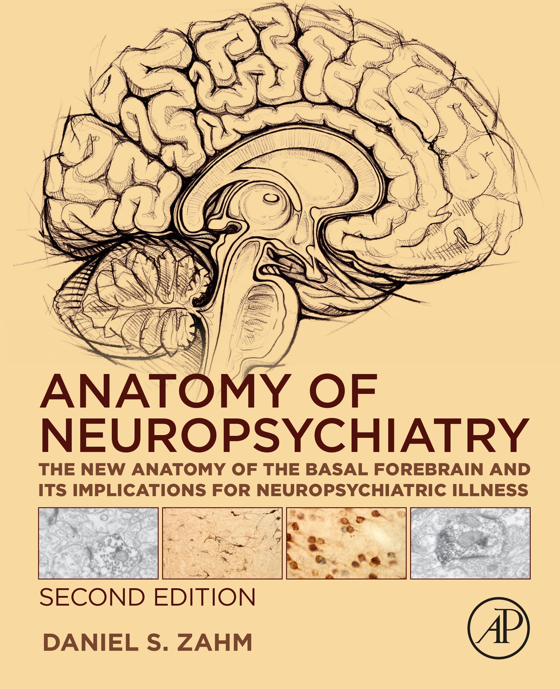 Anatomy Of Neuropsychiatry: The New Anatomy Of The Basal Forebrain And ...