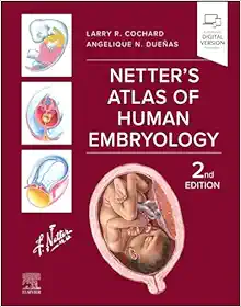 Netter's Atlas of Human Embryology, 2nd Edition (True PDF From Publisher)