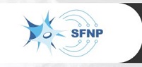 28e Journées de la Société Francophone du Nerf Périphérique (SFNP) 2024 (Videos)