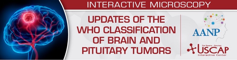 Updates of the WHO Classification of Brain and Pituitary Tumors 2024 - USCAP (Videos)