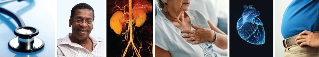 Harvard Diabetes Comorbidities and Complications 2024 (Videos with captions + Slides)