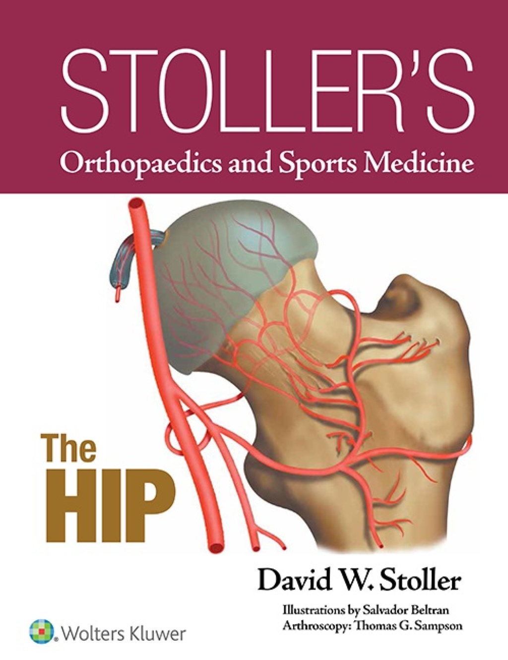Stoller's Orthopaedics and Sports Medicine: The Hip (Original PDF from Publisher)