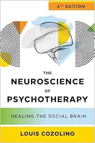 The Neuroscience of Psychotherapy: Healing the Social Brain (Norton Series on Interpersonal Neurobiology), 4th edition (EPUB)