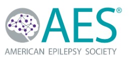 AES 2024 - American Epilepsy Society Annual Meeting (Videos with subtitles)