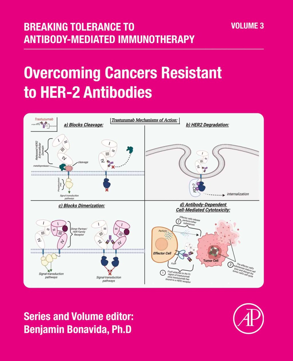 Overcoming Cancers Resistant to HER-2 Antibodies (EPUB)
