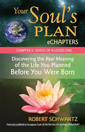 Your Soul's Plan eChapters - Chapter 6: Death of a Loved One: Discovering the Real Meaning of the Life You Planned Before You Were Born (EPUB)