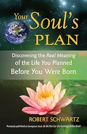 Your Soul's Plan: Discovering the Real Meaning of the Life You Planned Before You Were Born (EPUB)