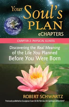 Your Soul's Plan eChapters - Chapter 2: Physical Illness: Discovering the Real Meaning of the Life You Planned Before You Were Born (EPUB)