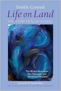 Life on Land: The Story of Continuum, the World-Renowned Self-Discovery and Movement Method (EPUB)