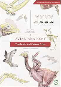 Avian Anatomy: Textbook and Colour Atlas (Veterinary Atlases), 2nd Edition (Original PDF from Publisher)