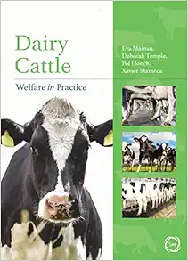 Dairy Cattle Welfare in Practice (Animal Welfare in Practice) (EPUB)