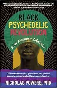 Black Psychedelic Revolution: From Trauma to Liberation--How to heal from racial, generational, and systemic trauma through reclaiming Black psychedelic culture (EPUB)