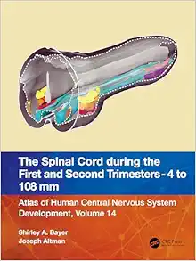 The Spinal Cord during the First and Early Second Trimesters 4- to 108-mm Crown-Rump Lengths: Atlas of Human Central Nervous System Development, Volume 14 (Original PDF from Publisher)