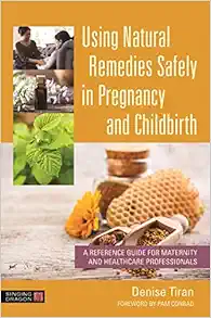 Using Natural Remedies Safely in Pregnancy and Childbirth (EPUB)