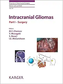 Intracranial Gliomas: Surgery (Progress in Neurological Surgery) (EPUB)