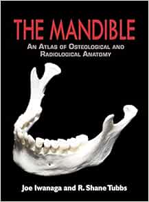 The Mandible: An Atlas of Osteological and Radiological Anatomy (Original PDF from Publisher)