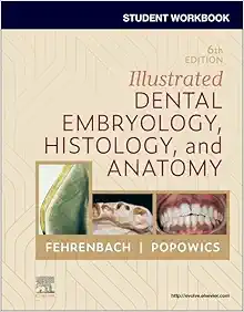 Student Workbook for Illustrated Dental Embryology, Histology and Anatomy, 6th Edition (Original PDF from Publisher)
