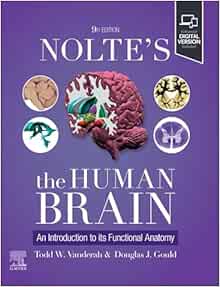 Nolte's The Human Brain: An Introduction to its Functional Anatomy, 9th Edition (EPUB)