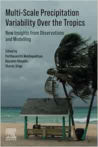 Multi-Scale Precipitation Variability Over the Tropics: New Insights from Observations and Modelling (Original PDF from Publisher)