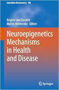 Neuroepigenetics Mechanisms in Health and Disease (Subcellular Biochemistry, 108) (EPUB)