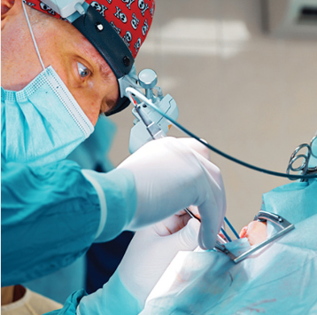 Oakstone Oral and Maxillofacial Surgery Review - A Comprehensive and Contemporary Update 2024 (Videos + Slides PDFs)