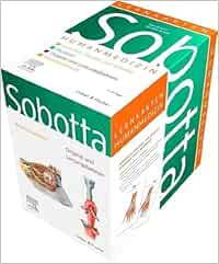 Sobotta Lernkarten Humanmedizin, 4. Auflage (True PDF from Publisher)