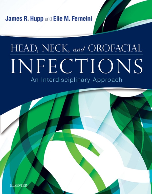 Head, Neck and Orofacial Infections: An Interdisciplinary Approach (EPUB)