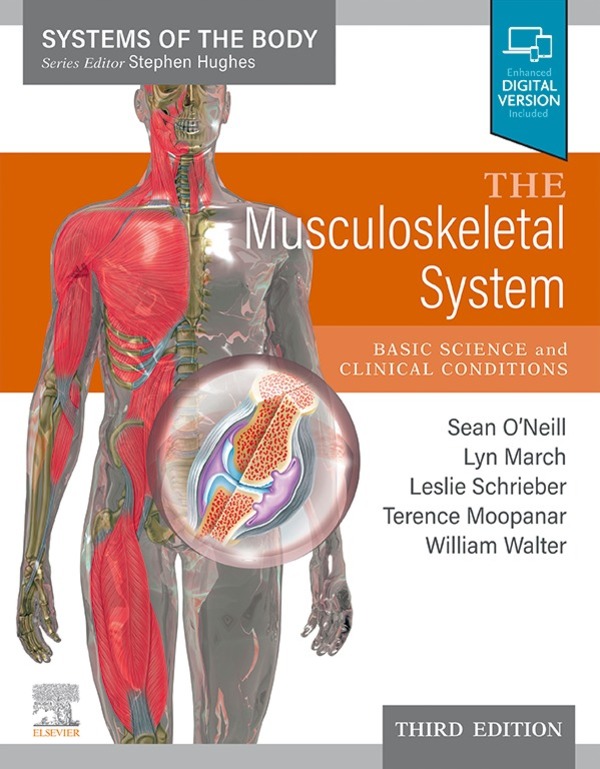 The Musculoskeletal System, 3rd Edition (EPUB)