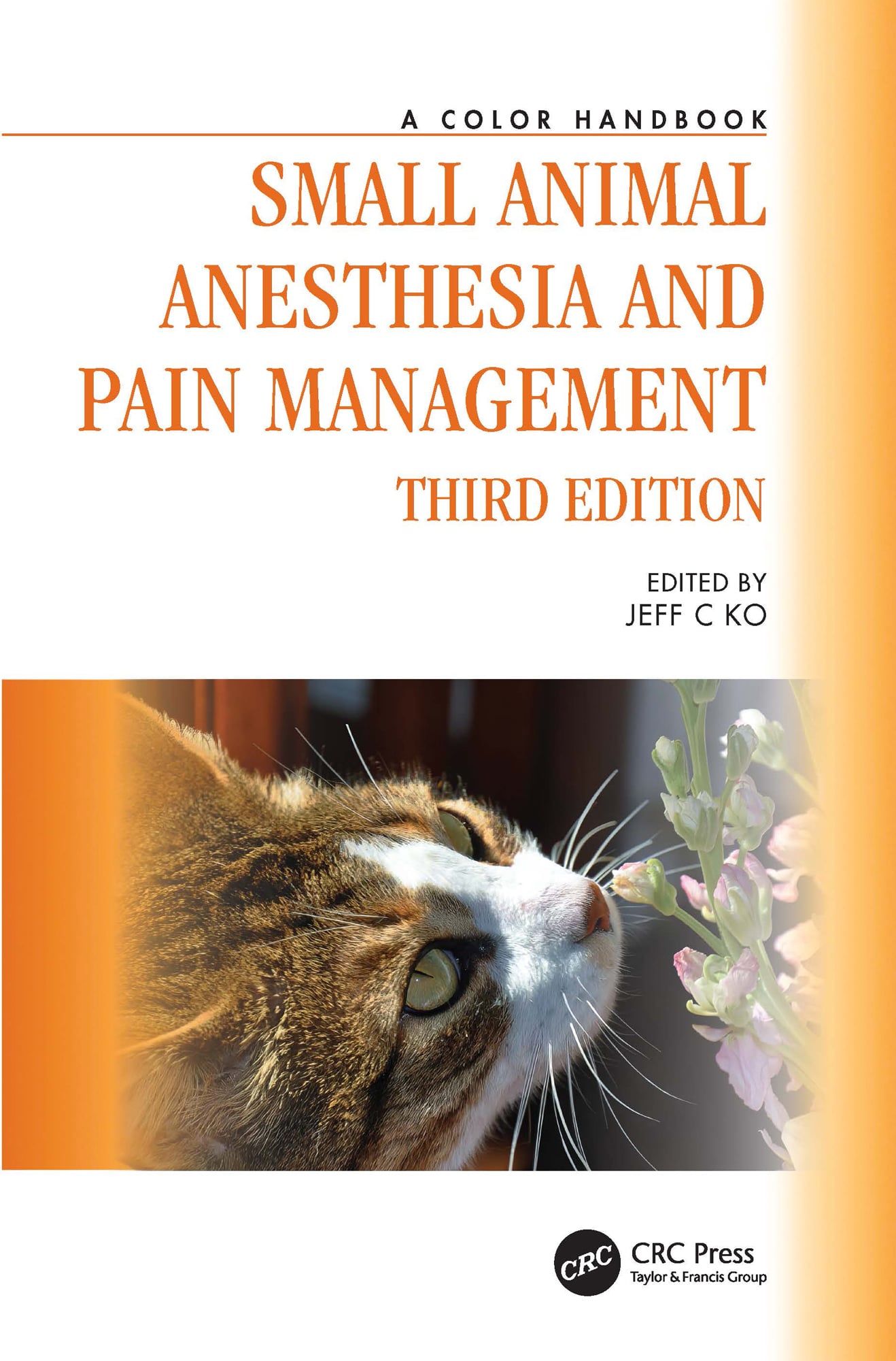 Small Animal Anesthesia and Pain Management: A Color Handbook, 3rd Edition (EPUB)