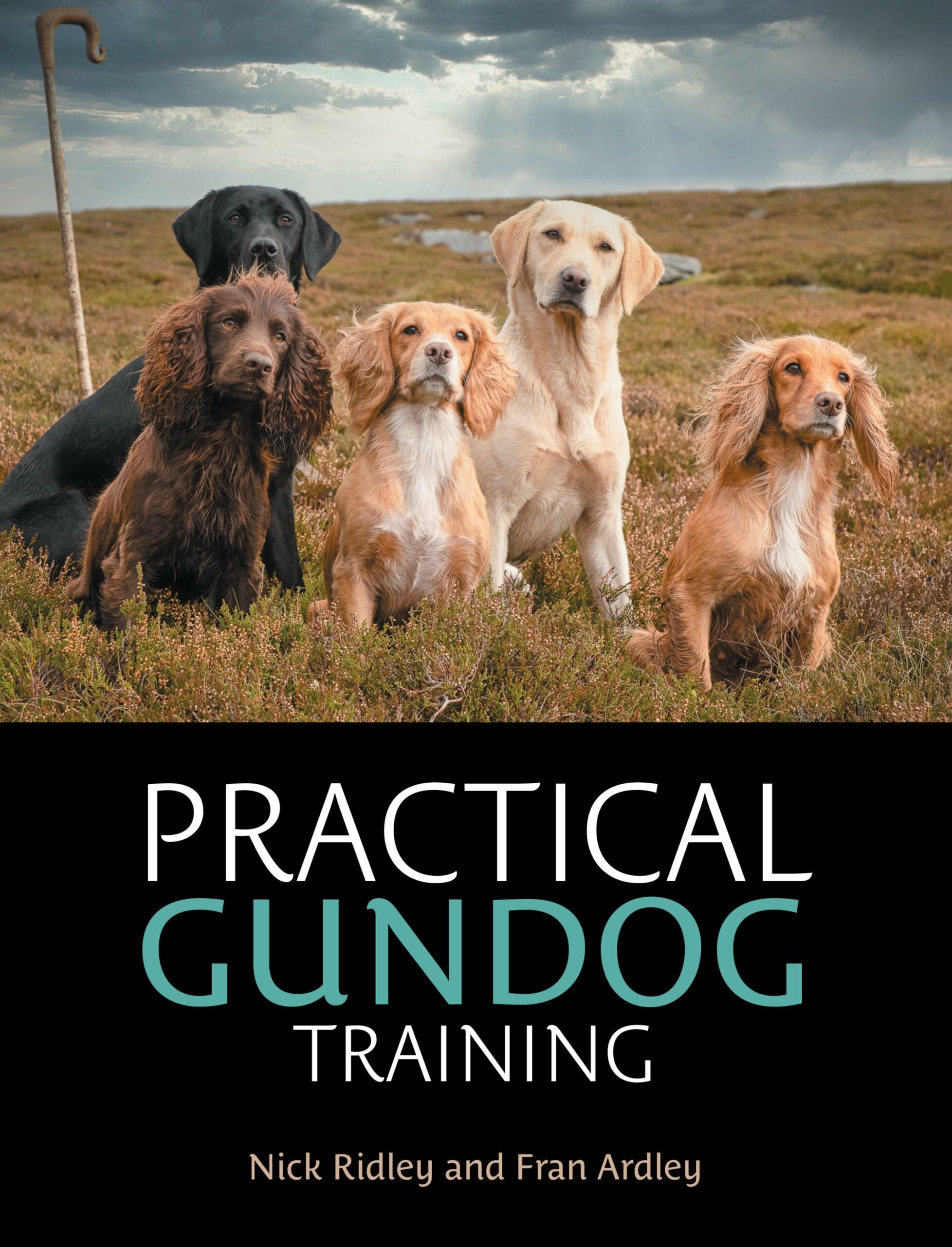 Practical Gundog Training (EPUB)