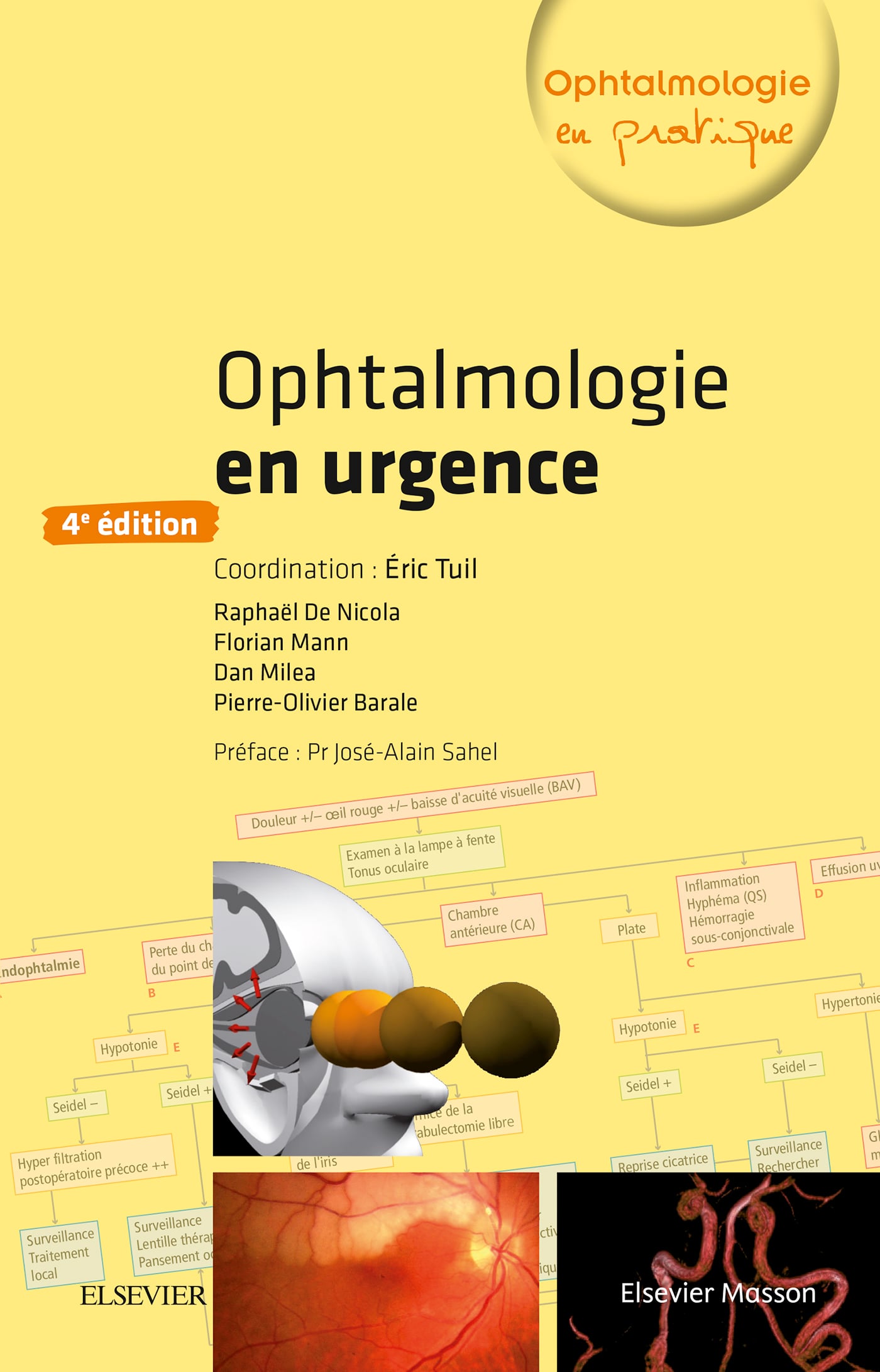 Ophtalmologie en urgence, 4th Edition (EPUB)