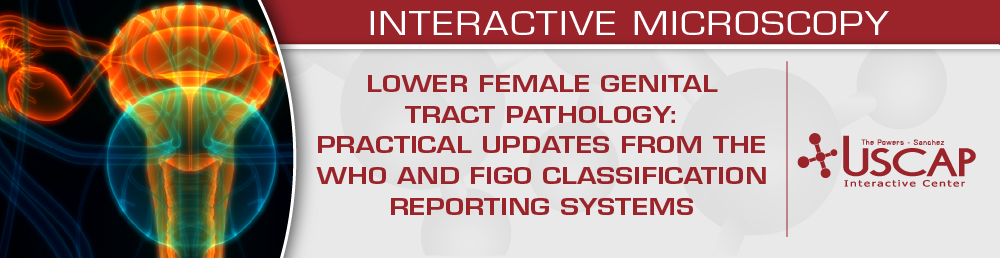 USCAP Lower Female Genital Tract Pathology 2025 (Videos + Slides)