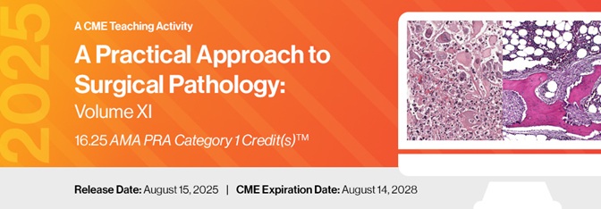 2025 A Practical Approach to Surgical Pathology Volume XI (Videos)