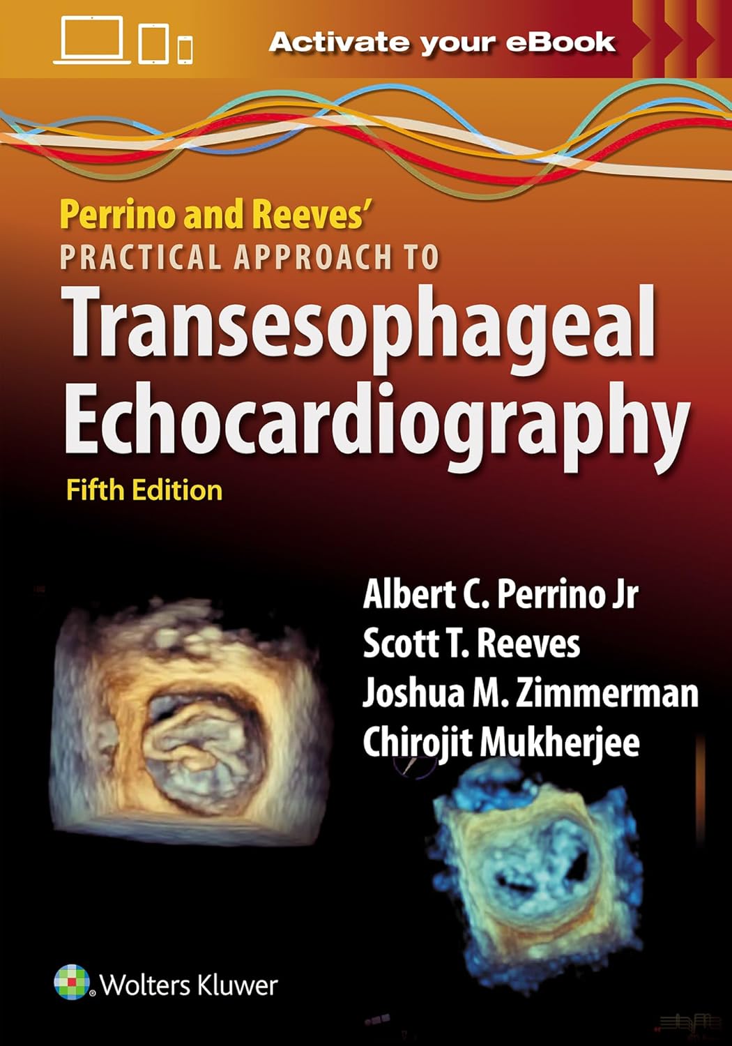 Perrino and Reeves' Practical Approach to Transesophageal Echocardiography (EPUB)