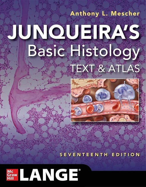 Junqueira's Basic Histology: Text and Atlas, 17th Edition (EPUB)